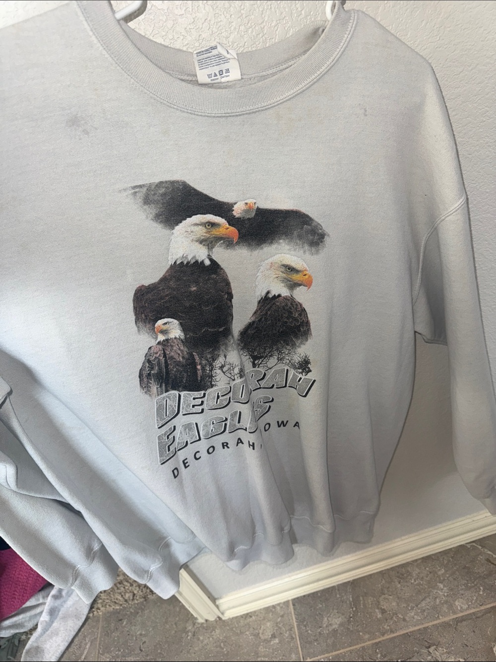 Light Gray Bald Eagle Graphic Sweatshirt - Decorah
